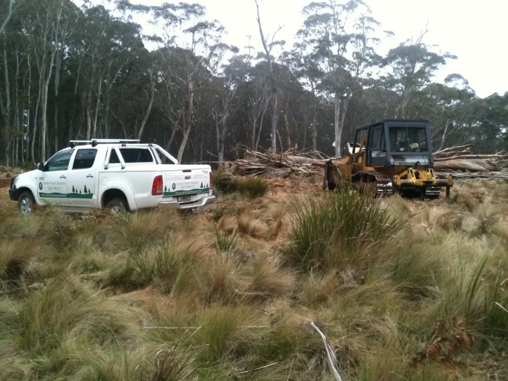 A white utility truck and a yellow bulldozer are parked on a grassy, bushy field, surrounded by tall trees. Piles of logs are stacked nearby, indicating recent logging activity. The sky is overcast.