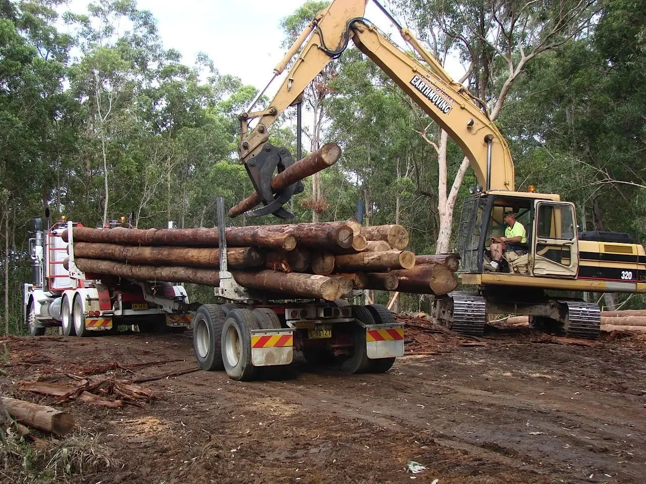 An excavator loads large tree logs onto a flatbed truck in a forested area. The ground is covered in dirt and wood debris. Tall trees surround the scene, and a worker is visible in the excavator's cabin.