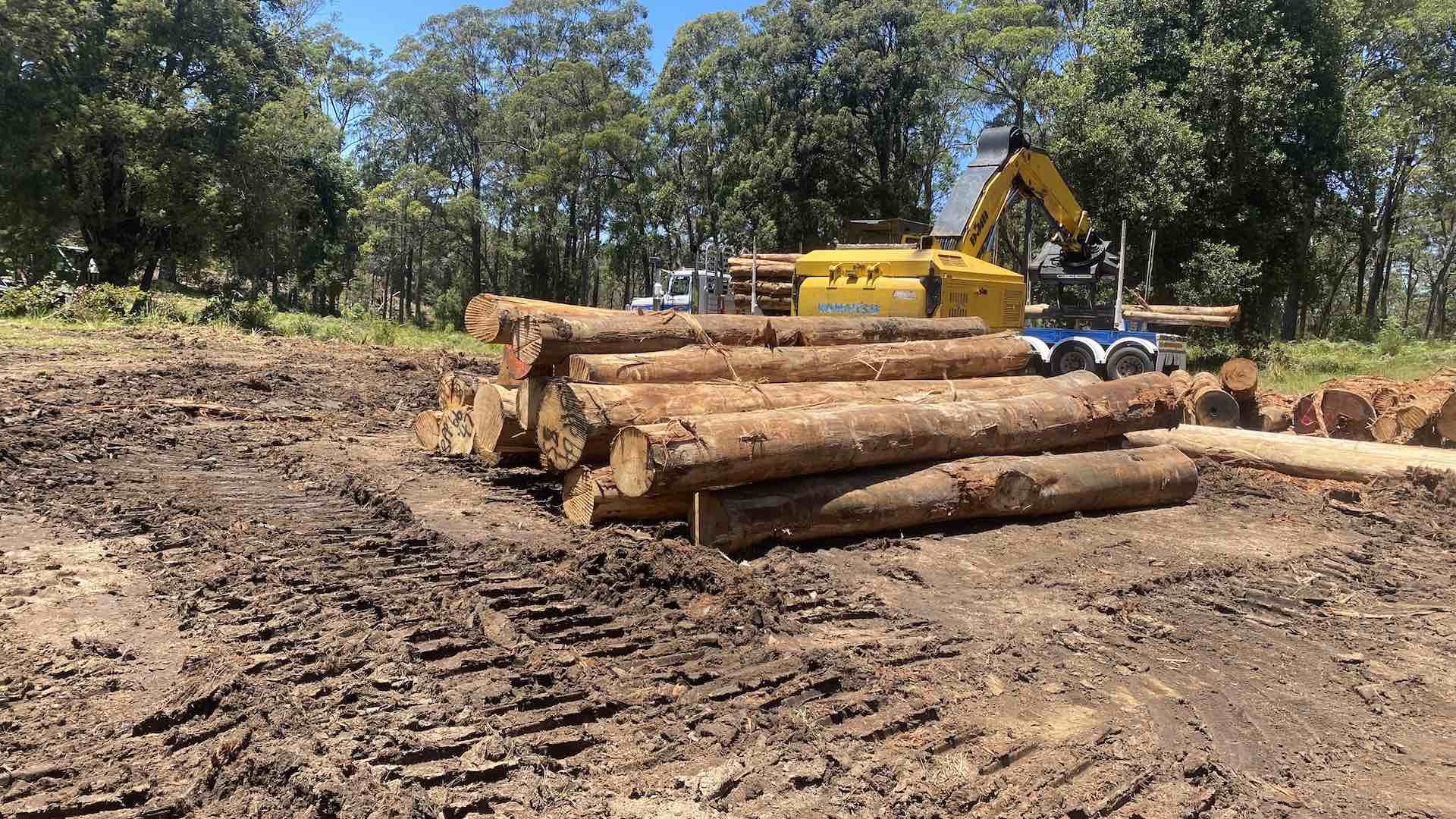 A construction site with logs stacked on the ground. A yellow excavator is parked nearby, surrounded by trees. The area is muddy, indicating recent work. The sky is clear and sunny.