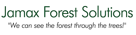 Jamax Forest Solutions" text in green, with the slogan "We can see the forest through the trees!" in gray underneath.