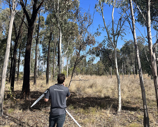 Timber Viability & Appraisal